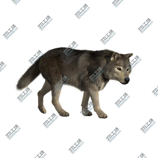 images/goods_img/20210312/Wolf  FUR ANIMATED/3.jpg